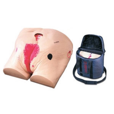 褥瘡護(hù)理模型(美國(guó)納斯)